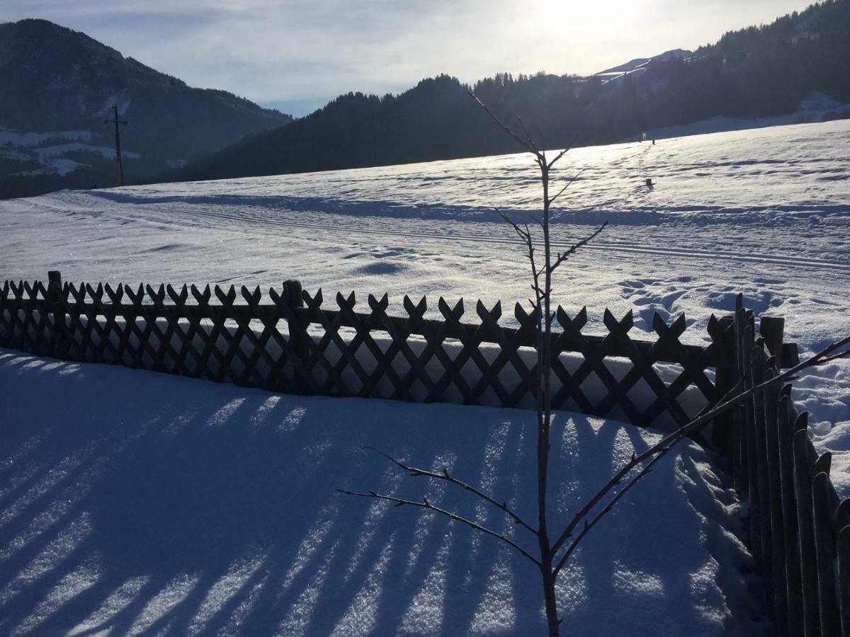 Wohlfuehlchalet Tirol Reith im Alpbachtal Dış mekan fotoğraf